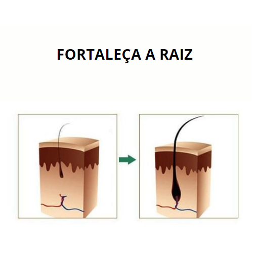 Óleo de Gengibre com Efeito Rápido - Tratamento Capilar